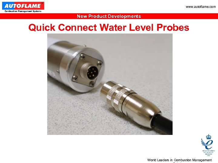 www. autoflame. com New Product Developments Quick Connect Water Level Probes World Leaders in