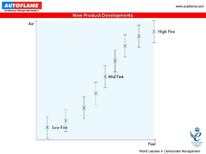 www. autoflame. com New Product Developments World Leaders in Combustion Management 