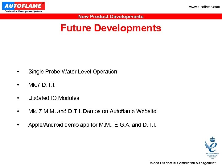 www. autoflame. com New Product Developments Future Developments • Single Probe Water Level Operation