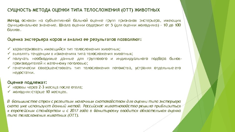 СУЩНОСТЬ МЕТОДА ОЦЕНКИ ТИПА ТЕЛОСЛОЖЕНИЯ (ОТТ) ЖИВОТНЫХ Метод основан на субъективной бальной оценке групп