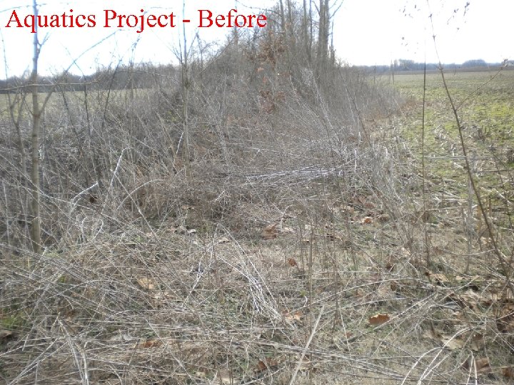 Aquatics Project - Before 