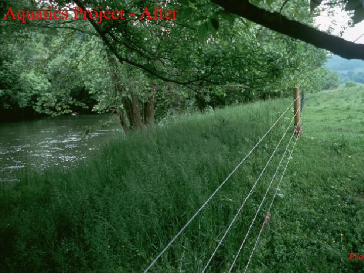 Aquatics Project - After Phot 