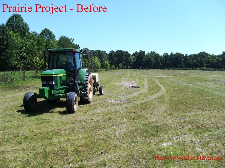 Prairie Project - Before Photo by Wildlife Mississippi 