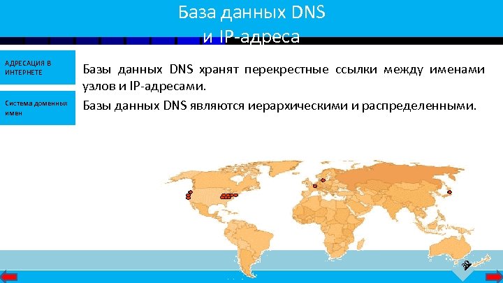 База данных DNS и IP-адреса Система доменных имен Базы данных DNS хранят перекрестные ссылки