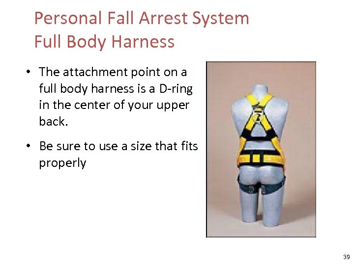 Personal Fall Arrest System Full Body Harness • The attachment point on a full