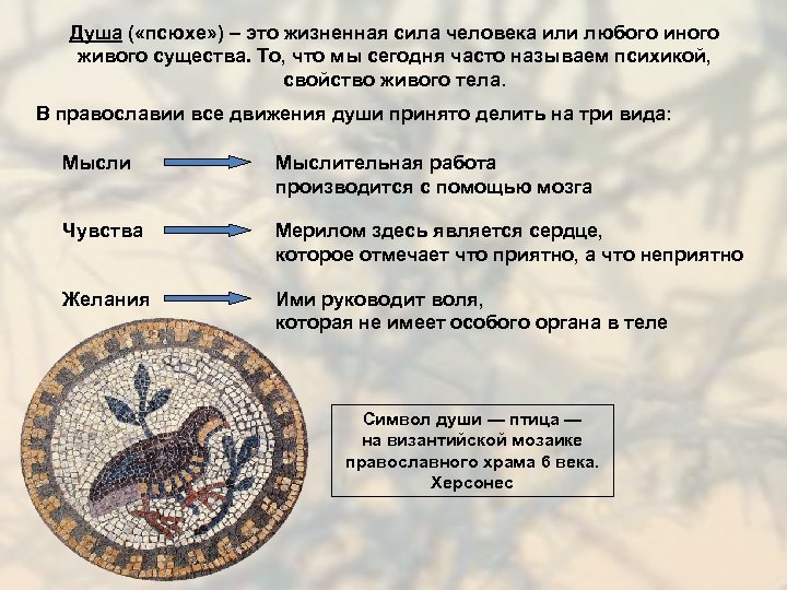 Душа ( «псюхе» ) – это жизненная сила человека или любого иного живого существа.