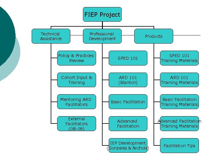 FIEP Project Technical Assistance Professional Development Products Policy & Practices Review SPED 101 Training