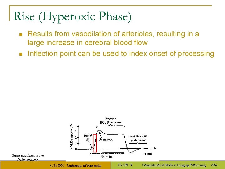 Rise (Hyperoxic Phase) n n Results from vasodilation of arterioles, resulting in a large