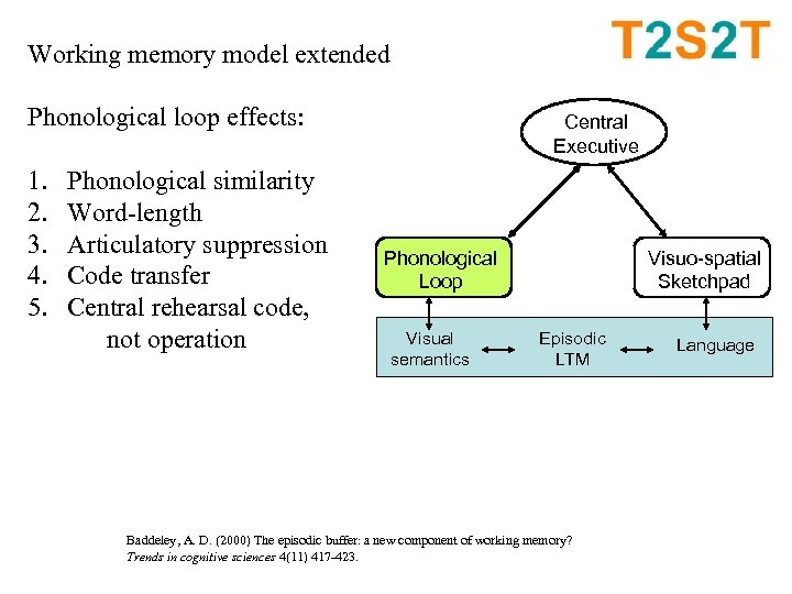 Working memory model extended Phonological loop effects: 1. 2. 3. 4. 5. Phonological similarity