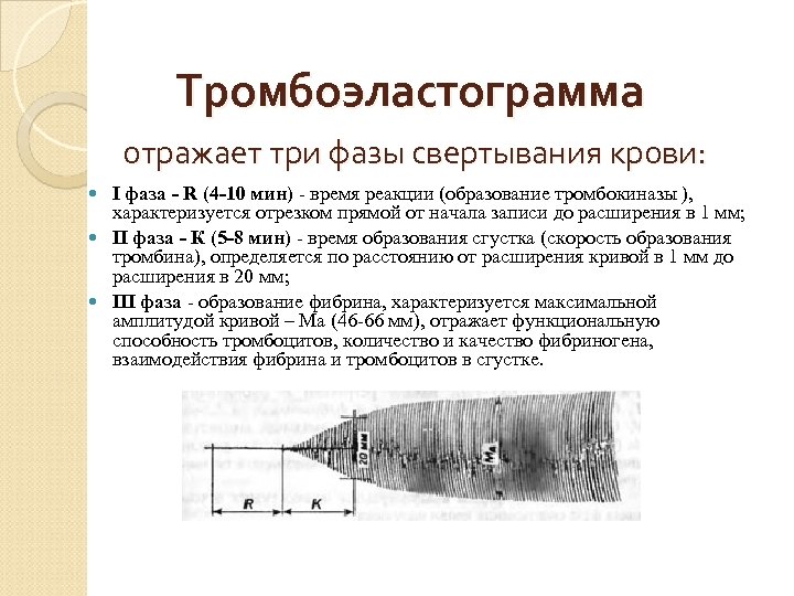 Тромбоэластограмма отражает три фазы свертывания крови: I фаза - R (4 -10 мин) -