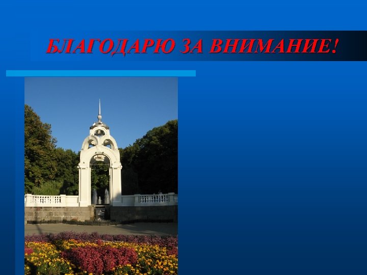 БЛАГОДАРЮ ЗА ВНИМАНИЕ! 