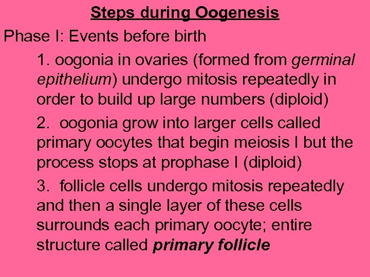 Steps during Oogenesis Phase I: Events before birth 1. oogonia in ovaries (formed from