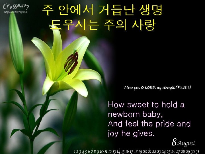 주 안에서 거듭난 생명 도우시는 주의 사랑 How sweet to hold a newborn baby,