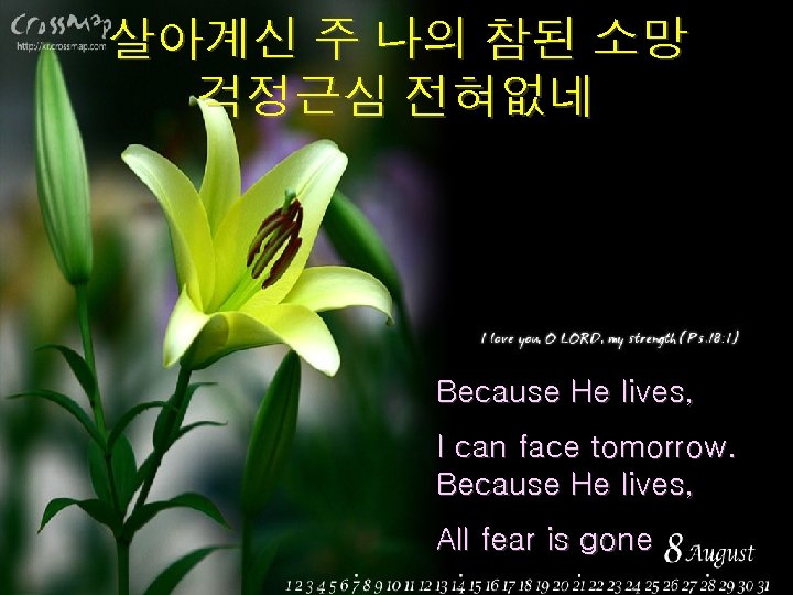 살아계신 주 나의 참된 소망 걱정근심 전혀없네 Because He lives, I can face tomorrow.