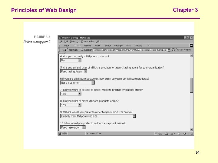 Principles of Web Design Chapter 3 14 