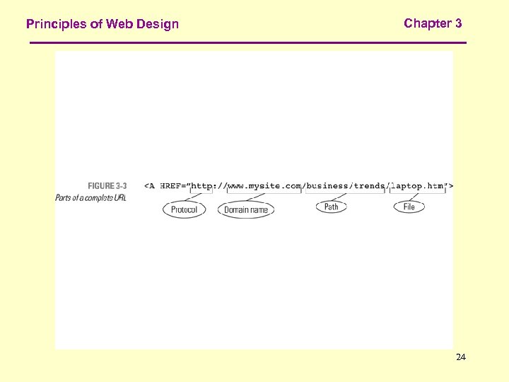 Principles of Web Design Chapter 3 24 