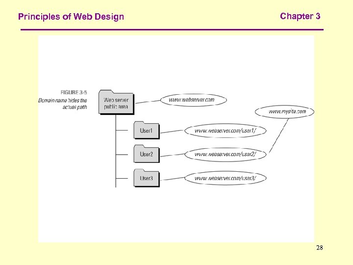 Principles of Web Design Chapter 3 28 