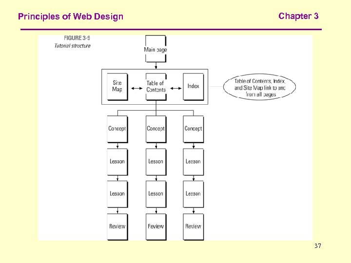 Principles of Web Design Chapter 3 37 