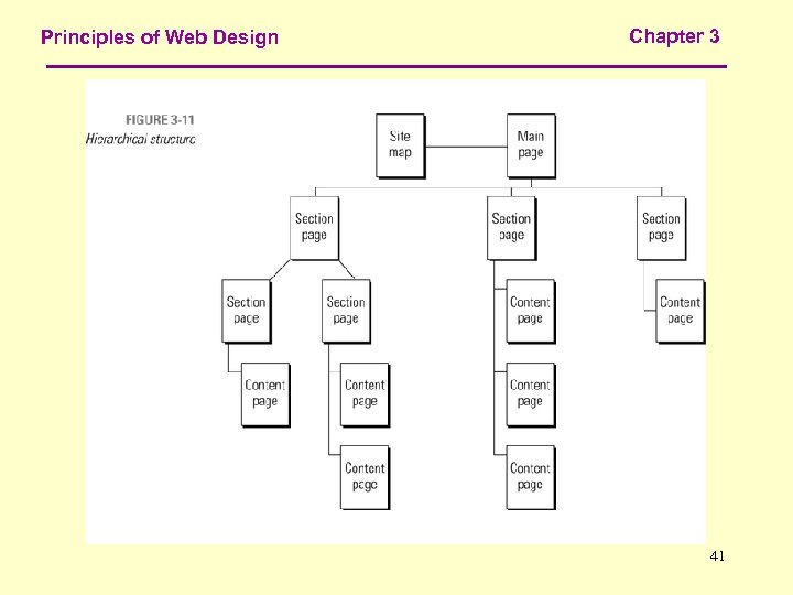 Principles of Web Design Chapter 3 41 