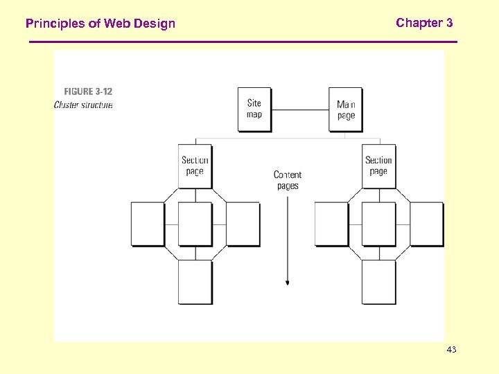 Principles of Web Design Chapter 3 43 