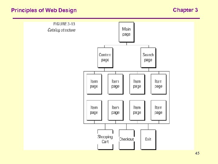 Principles of Web Design Chapter 3 45 