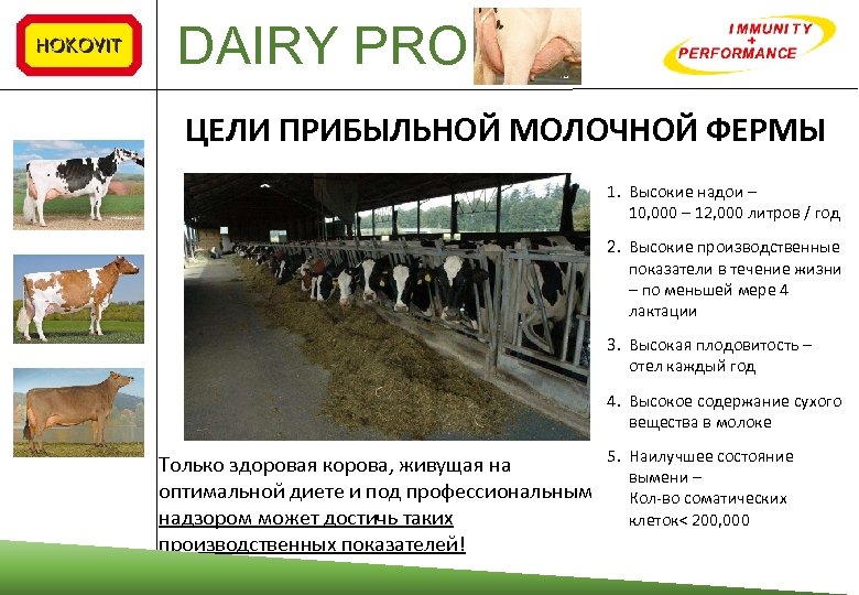 DAIRY PRO ЦЕЛИ ПРИБЫЛЬНОЙ МОЛОЧНОЙ ФЕРМЫ 1. Высокие надои – 10, 000 – 12,