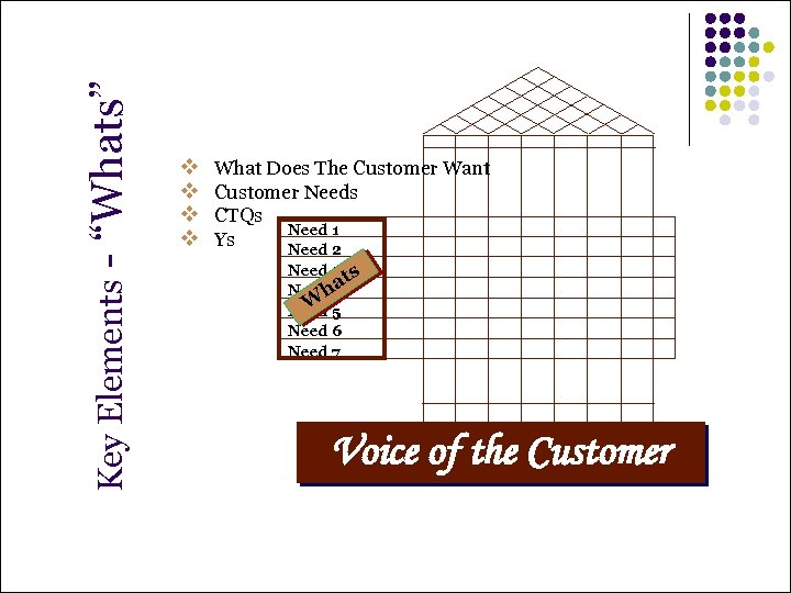 - “Whats” Key Elements v v What Does The Customer Want Customer Needs CTQs