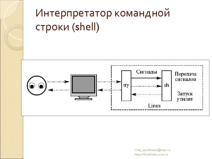 Интерпретатор командной строки (shell) irina_zare 4 neva@mail. ru http: //dvoeknet. ucoz. ru 