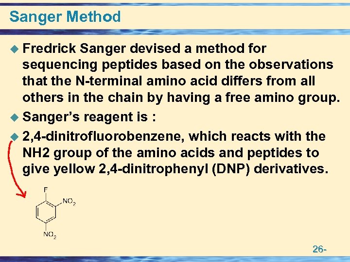 Sanger Method u Fredrick Sanger devised a method for sequencing peptides based on the