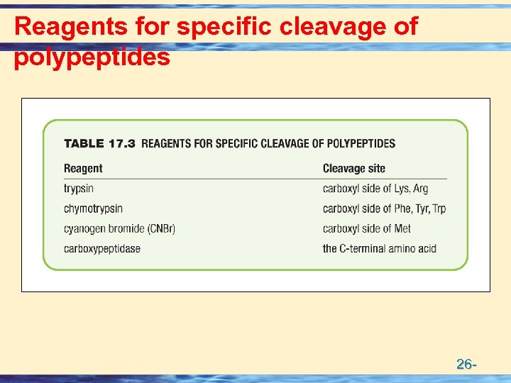 Reagents for specific cleavage of polypeptides 26 - 
