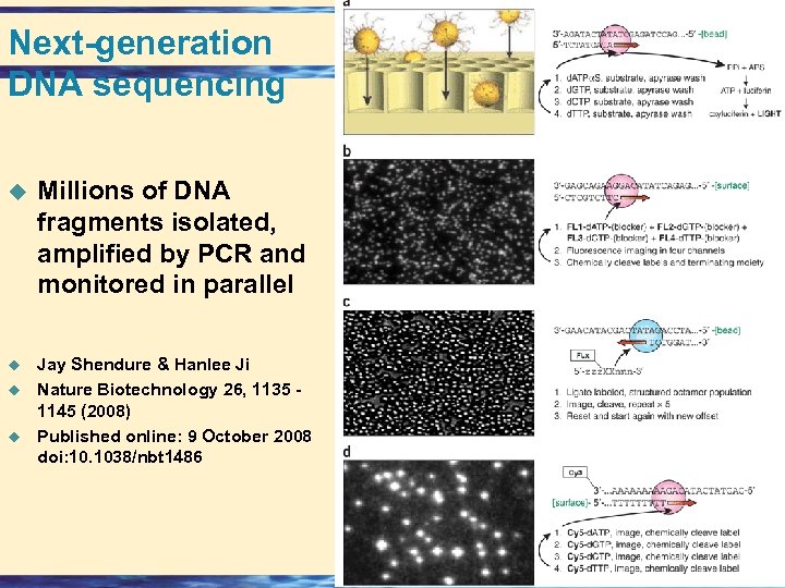 Next-generation DNA sequencing u Millions of DNA fragments isolated, amplified by PCR and monitored