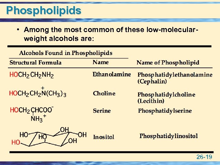 Phospholipids • Among the most common of these low-molecularweight alcohols are: 26 -19 