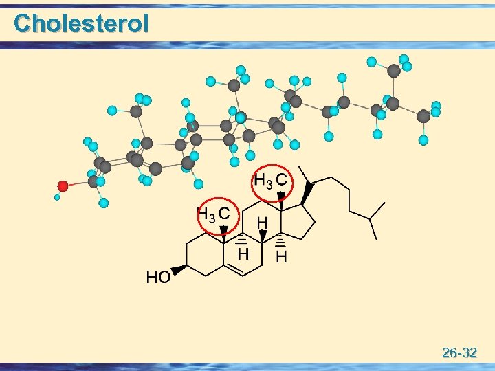 Cholesterol 26 -32 