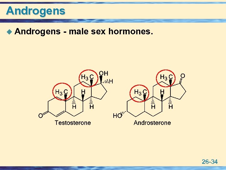 Androgens u Androgens - male sex hormones. 26 -34 