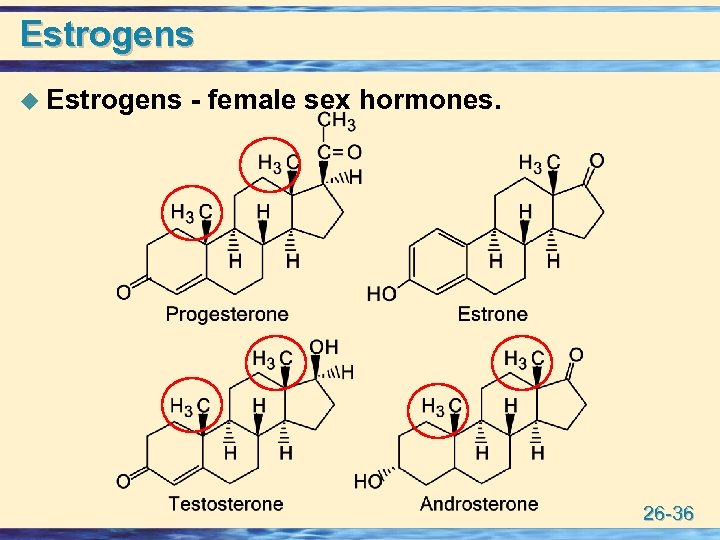 Estrogens u Estrogens - female sex hormones. 26 -36 