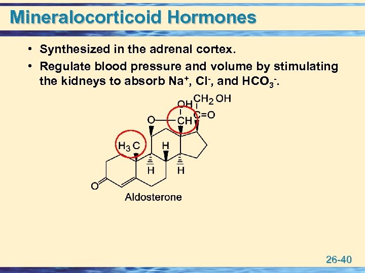 Mineralocorticoid Hormones • Synthesized in the adrenal cortex. • Regulate blood pressure and volume