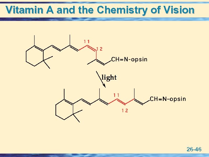 Vitamin A and the Chemistry of Vision 26 -46 