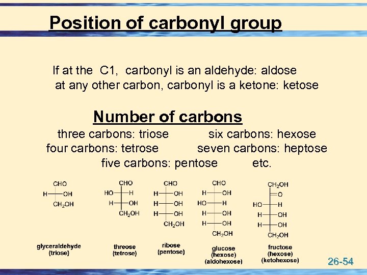 Position of carbonyl group If at the C 1, carbonyl is an aldehyde: aldose
