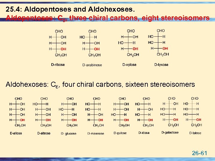 25. 4: Aldopentoses and Aldohexoses. Aldopentoses: C 5, three chiral carbons, eight stereoisomers Aldohexoses: