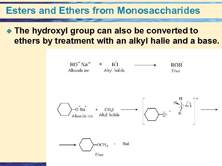 Esters and Ethers from Monosaccharides u The hydroxyl group can also be converted to