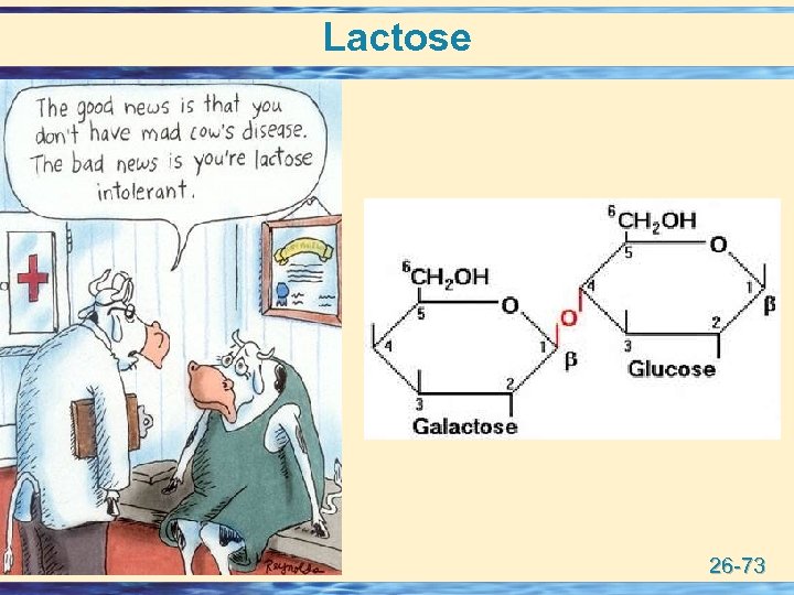 Lactose 26 -73 