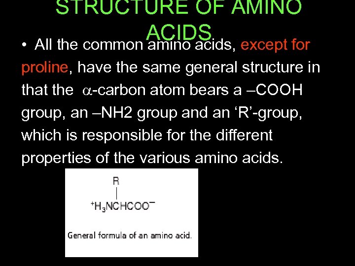 STRUCTURE OF AMINO ACIDS except for All the common amino acids, • proline, have