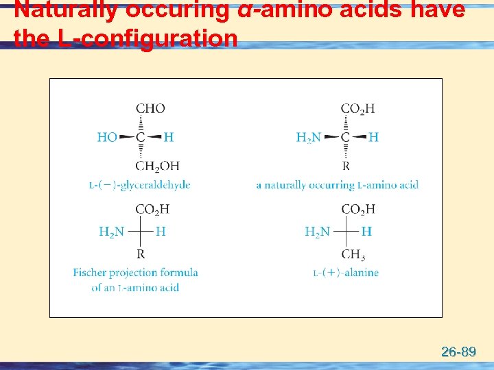 Naturally occuring α-amino acids have the L-configuration 26 -89 
