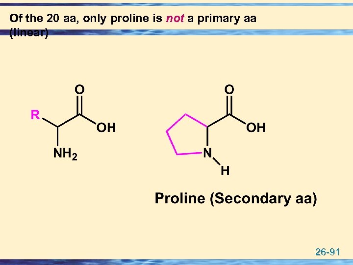 Of the 20 aa, only proline is not a primary aa (linear) 26 -91