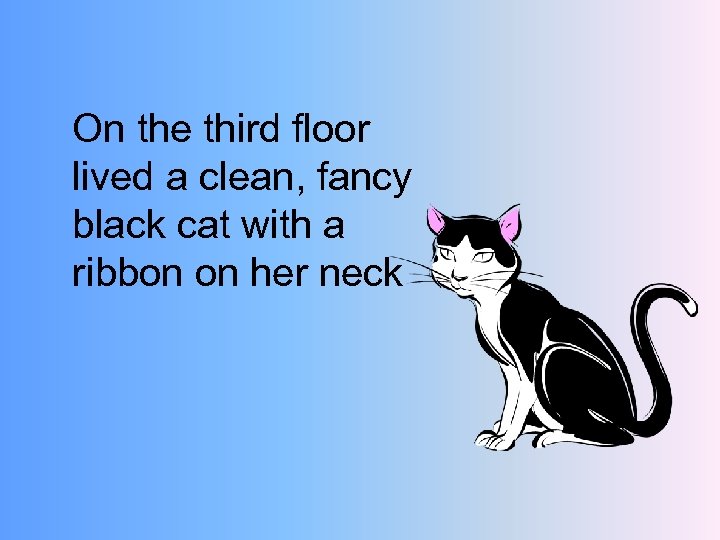 On the third floor lived a clean, fancy black cat with a ribbon on