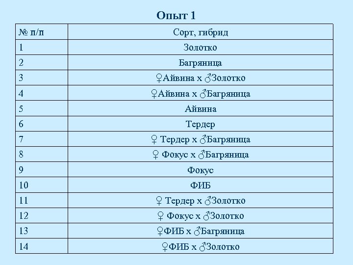 Опыт 1 № п/п Сорт, гибрид 1 Золотко 2 Багряница 3 ♀Айвина х ♂Золотко