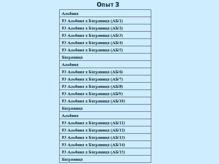 Опыт 3 Альбина F 3 Альбина х Багряница (АБ/1) F 3 Альбина х Багряница