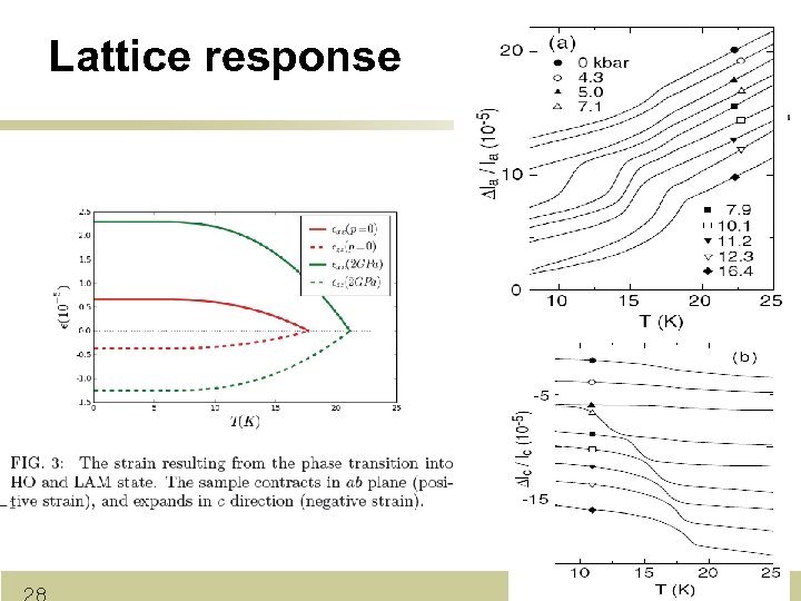 Lattice response 