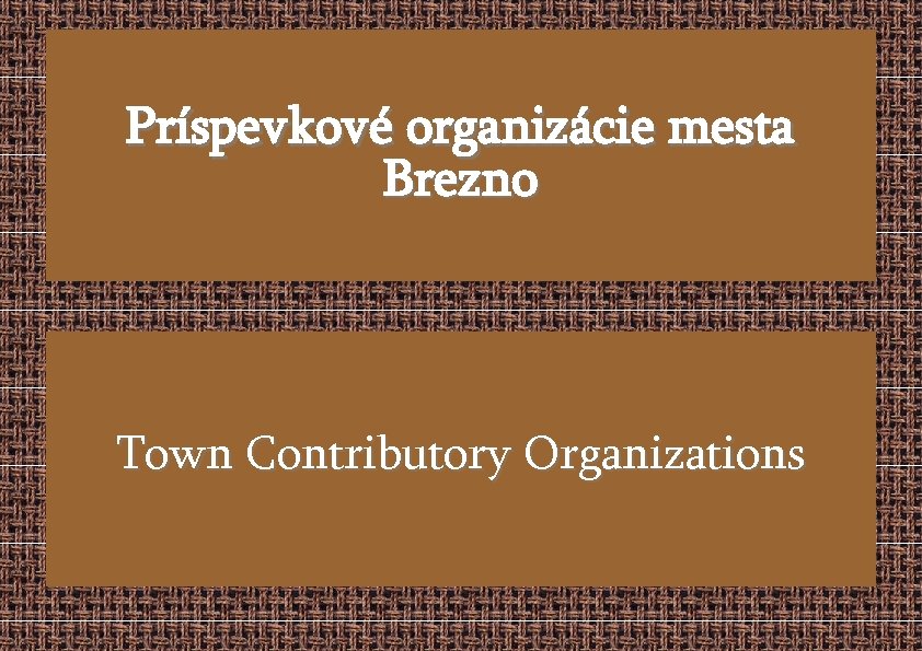 Príspevkové organizácie mesta Brezno Town Contributory Organizations 