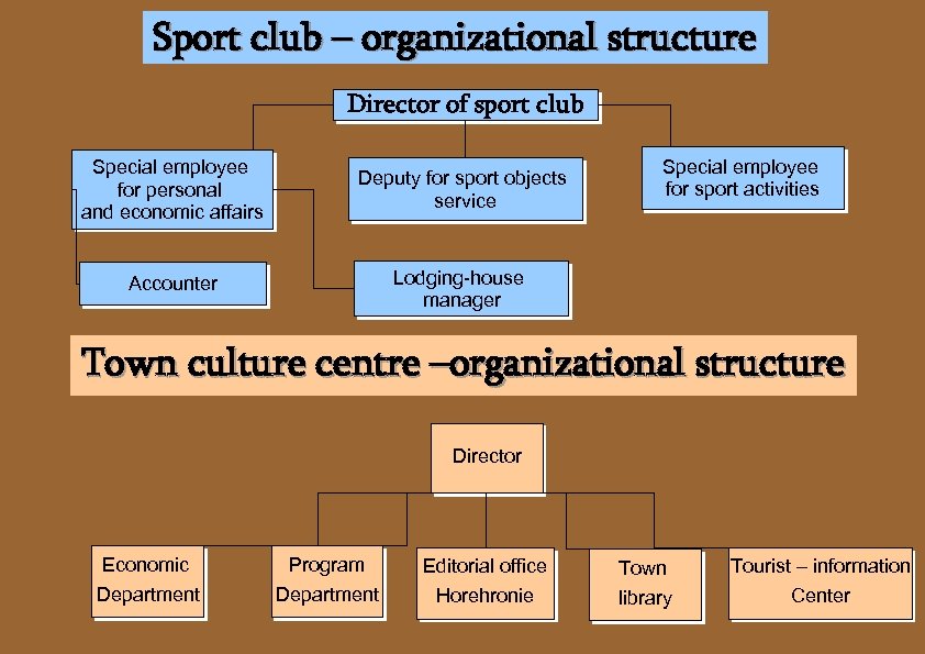 Sport club – organizational structure Director of sport club Special employee for personal and